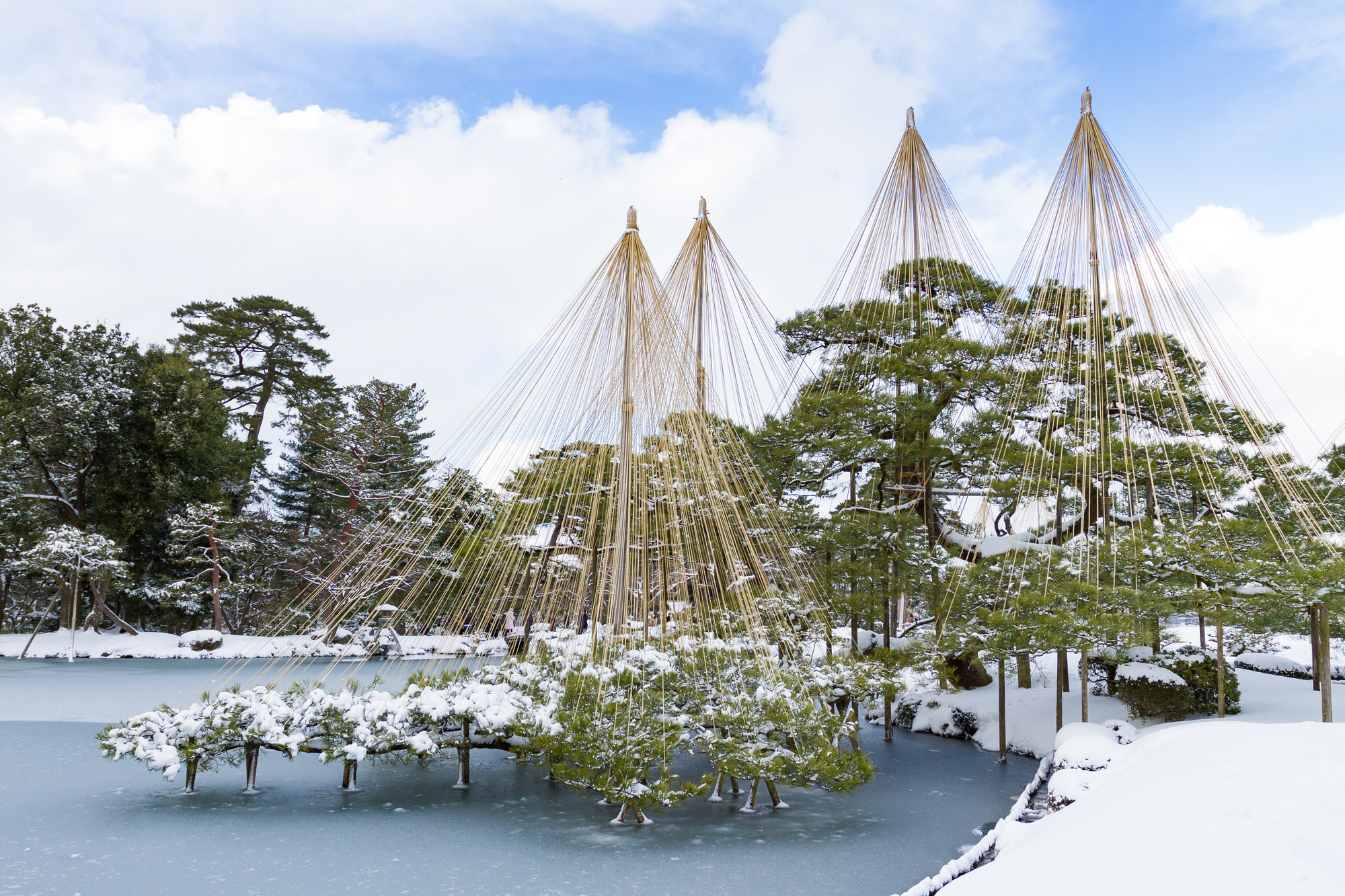 雪吊りが施された冬の兼六園