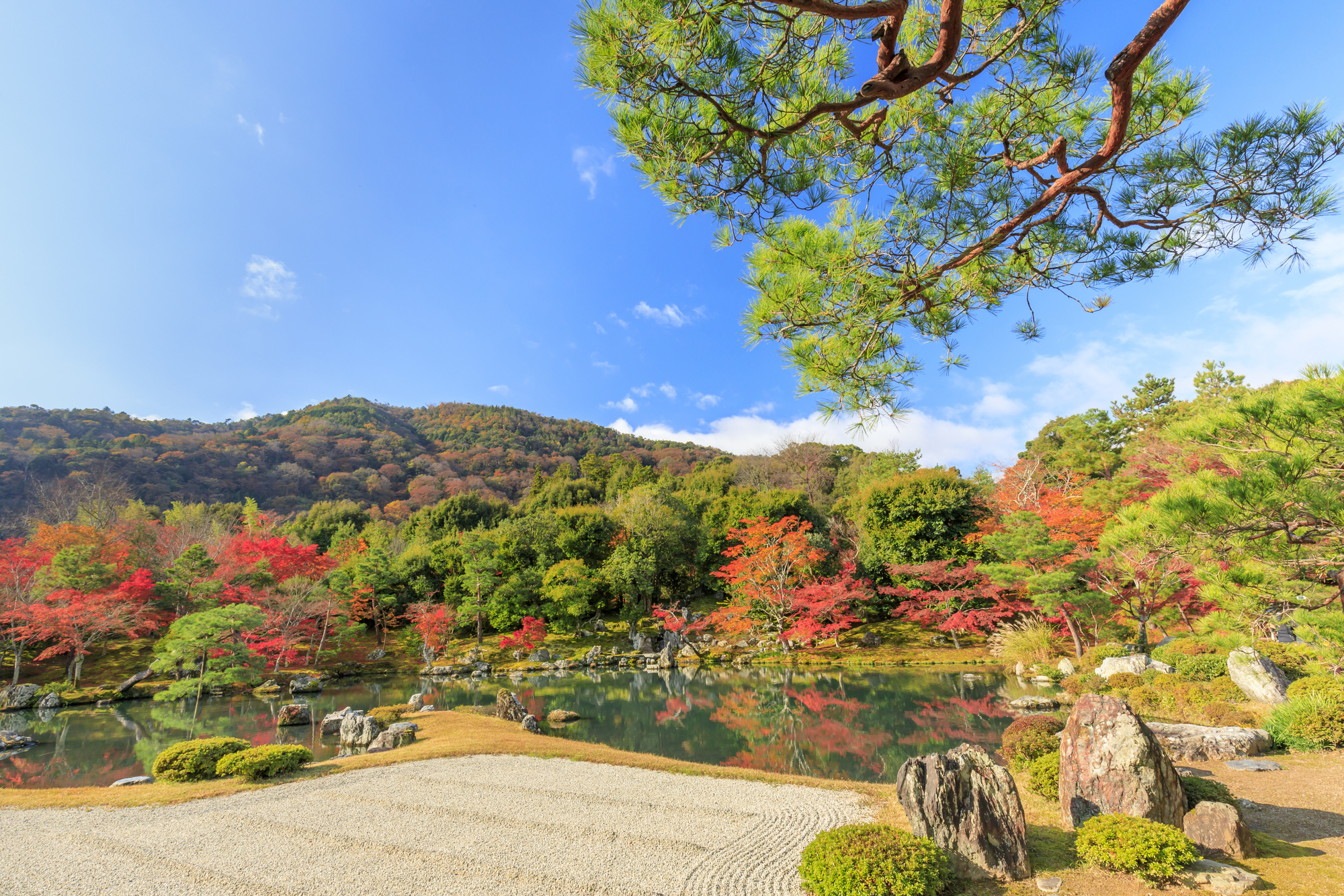 1-2. 禅の心と庭園美:嵐山の文化遺産と世界遺産
