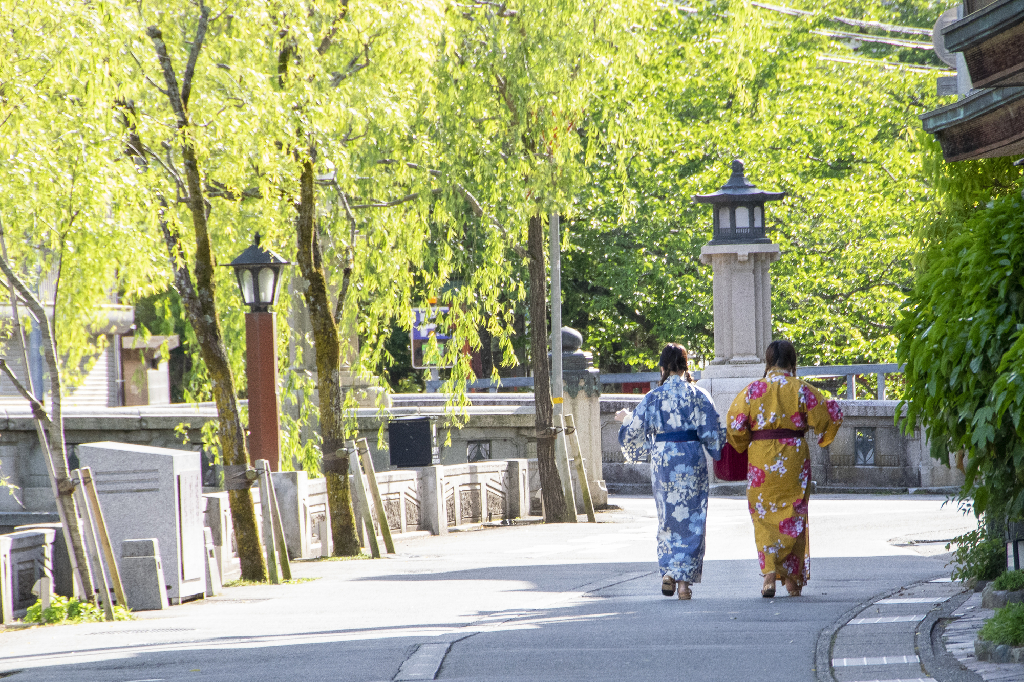 城崎温泉の柳並木と浴衣姿の人々