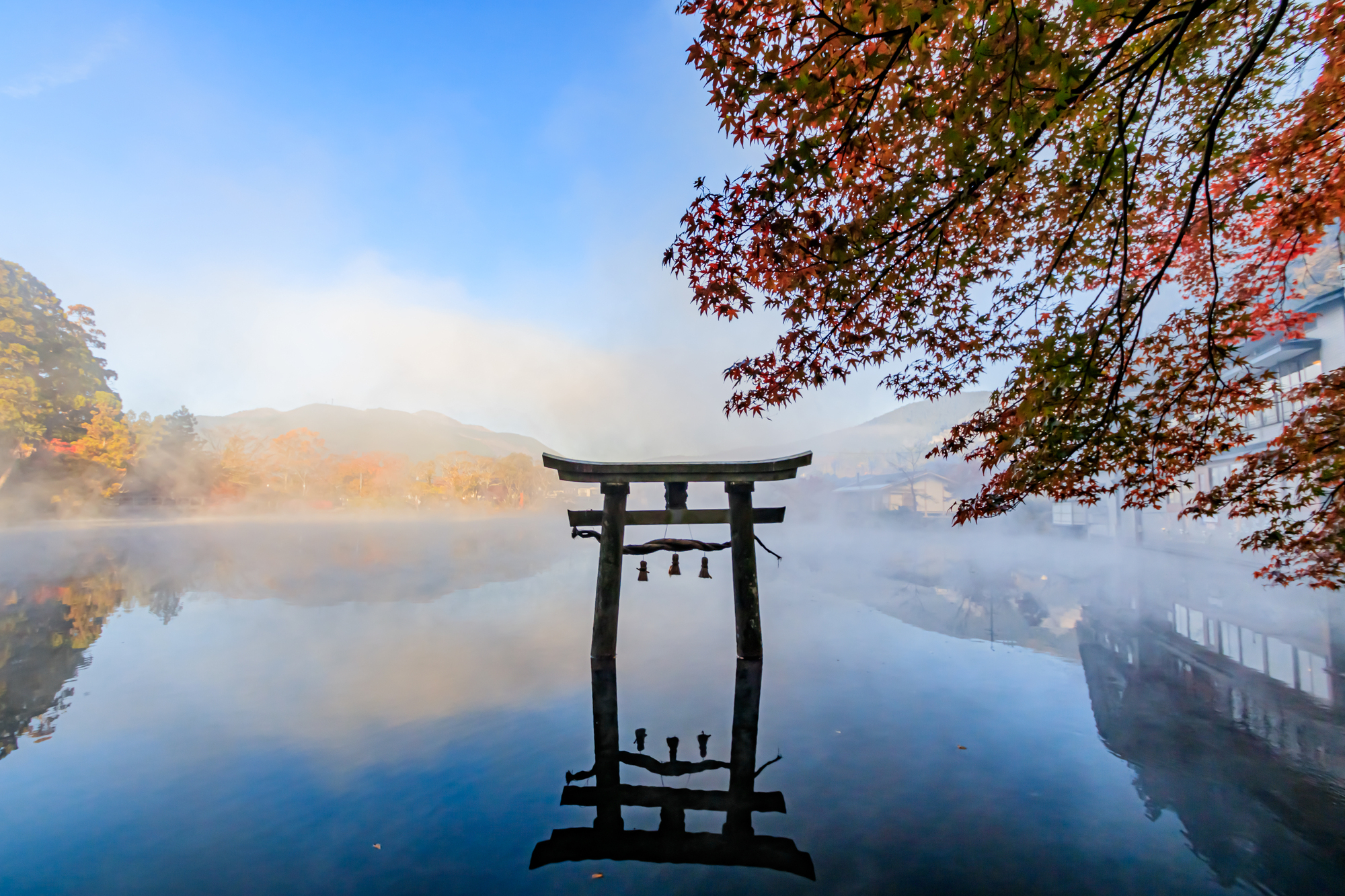 3-2. 金鱗湖エリア:幻想的な風景を守るための心得