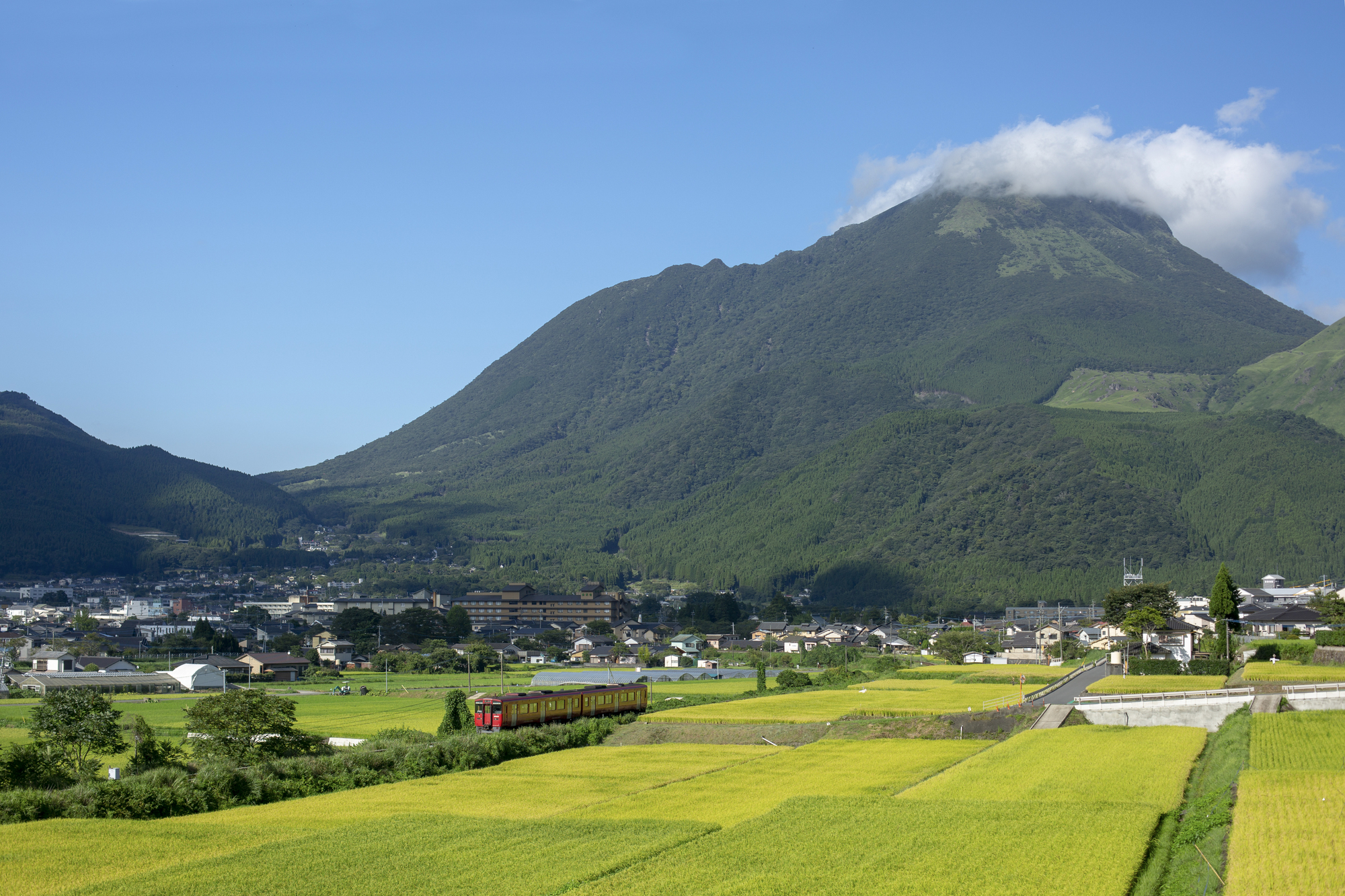 はじめに:心やすらぐ田園温泉郷、由布院へようこそ
