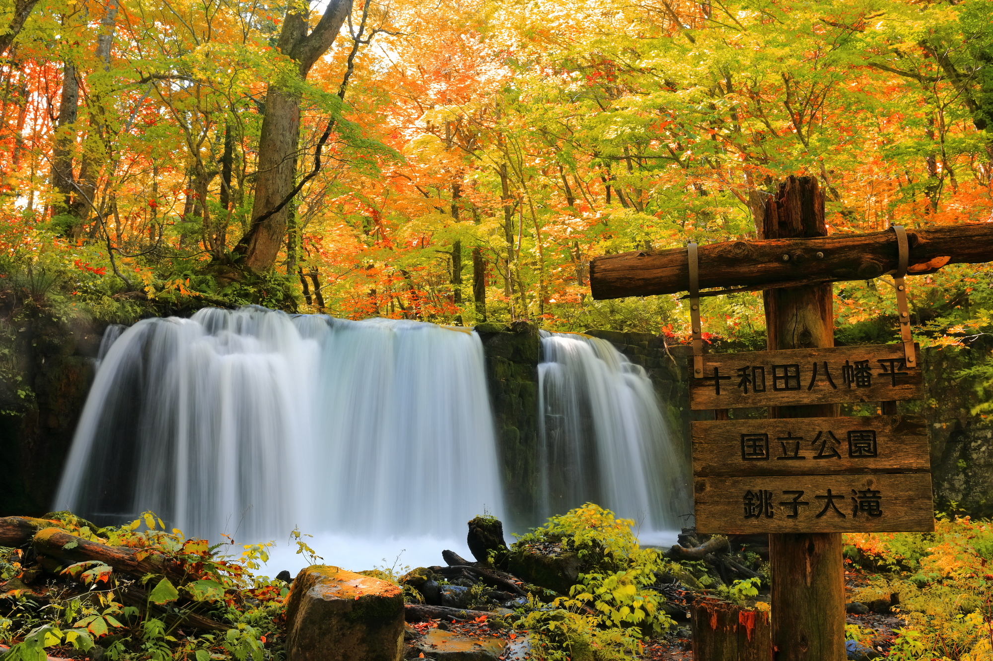 秋の紅葉に染まる奥入瀬渓流